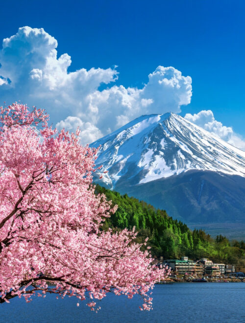 From Tokyo: Mt Fuji One Day Private Top Sites Tour