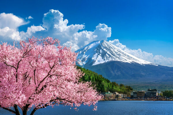 From Tokyo: Mt Fuji One Day Private Top Sites Tour