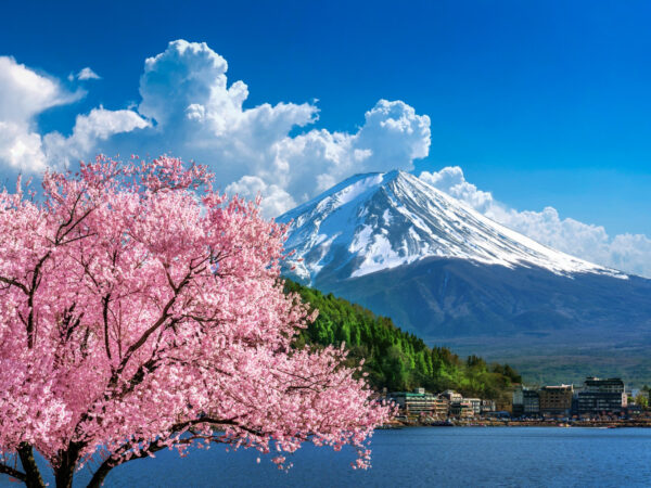 From Tokyo: Mt Fuji One Day Private Top Sites Tour