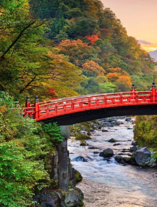 From Tokyo: Nikko World Heritage Sights Full Day Private Tour