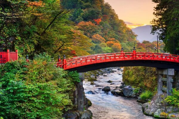 From Tokyo: Nikko World Heritage Sights Full Day Private Tour