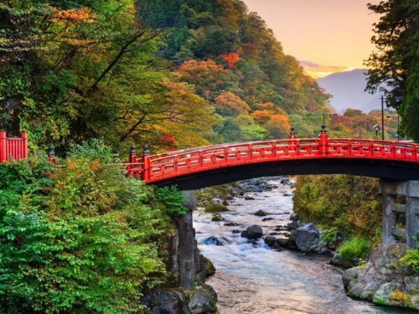 From Tokyo: Nikko World Heritage Sights Full Day Private Tour
